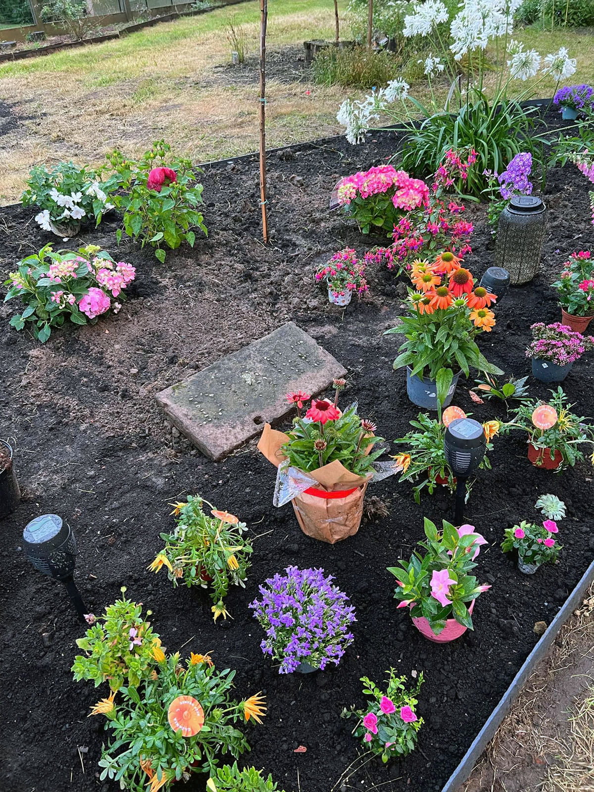 Parterre de fleurs